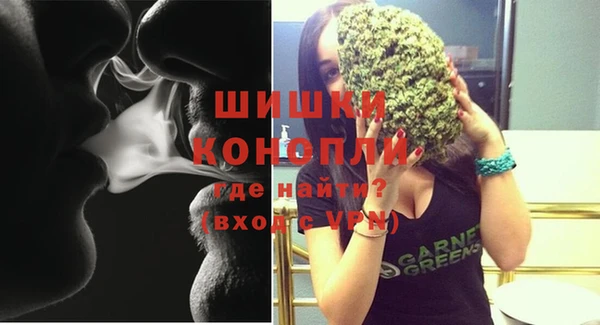 стаф Бронницы