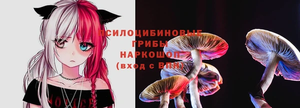 герыч Бугульма