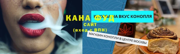 мдпв Богородск