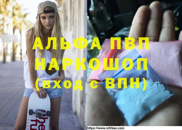 стаф Бронницы